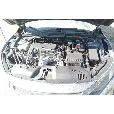 Honda Civic 2019 Used Headlights  H~00006